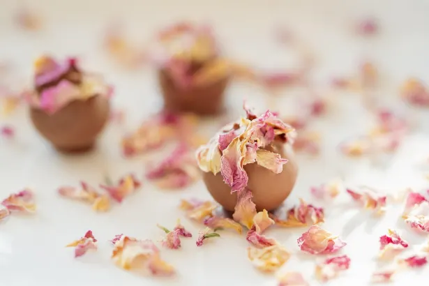 Pelican Kasino Apl Android/iOS